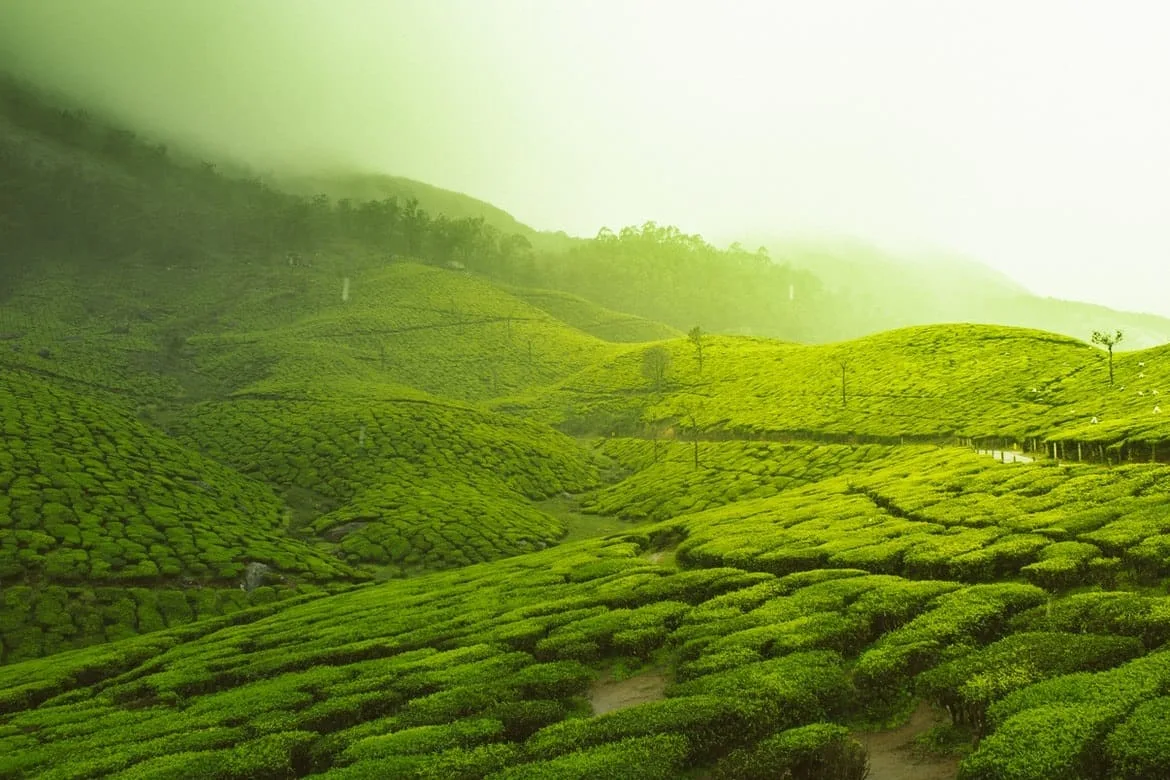 Kerala, India in September