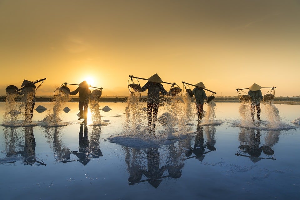 Salt Harvesting, Vietnam 2023